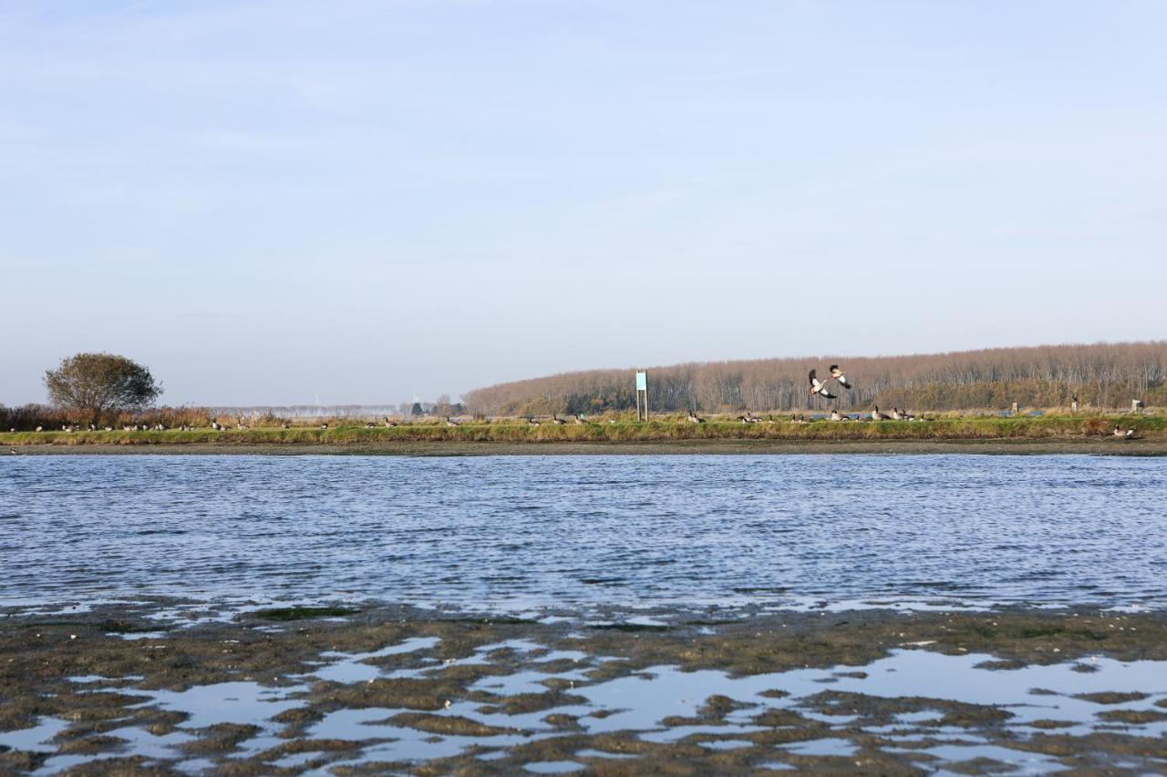 Wolphaartsdijk Huis Met Een Uitzicht المظهر الخارجي الصورة
