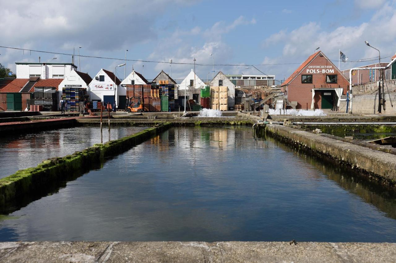 Wolphaartsdijk Huis Met Een Uitzicht المظهر الخارجي الصورة