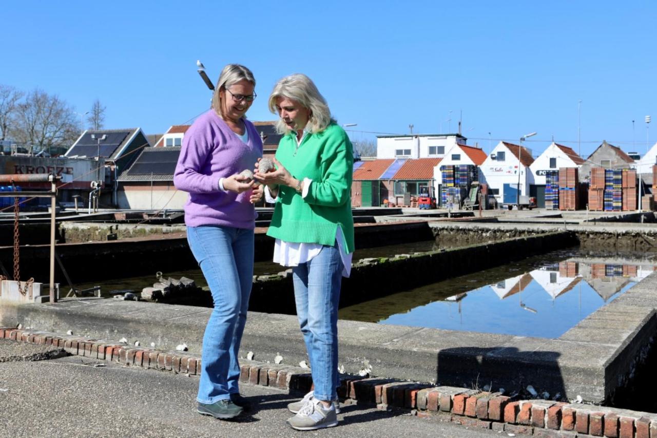 Wolphaartsdijk Huis Met Een Uitzicht المظهر الخارجي الصورة